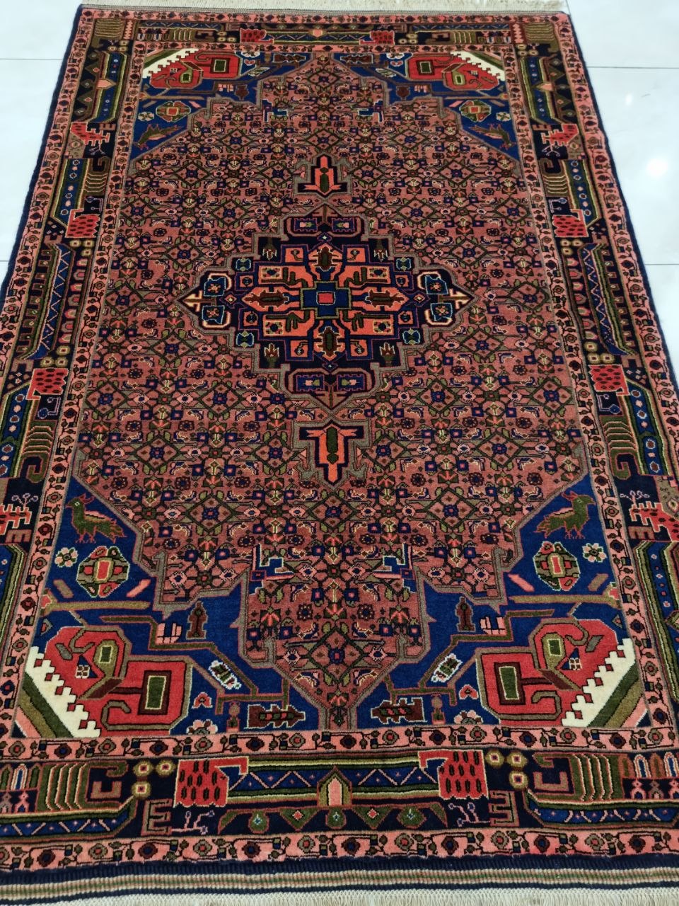 IMG_2185